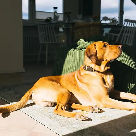 Eifel17 - Appartement *