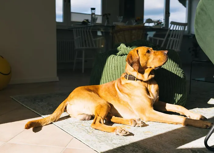 Eifel17 - Apartament *